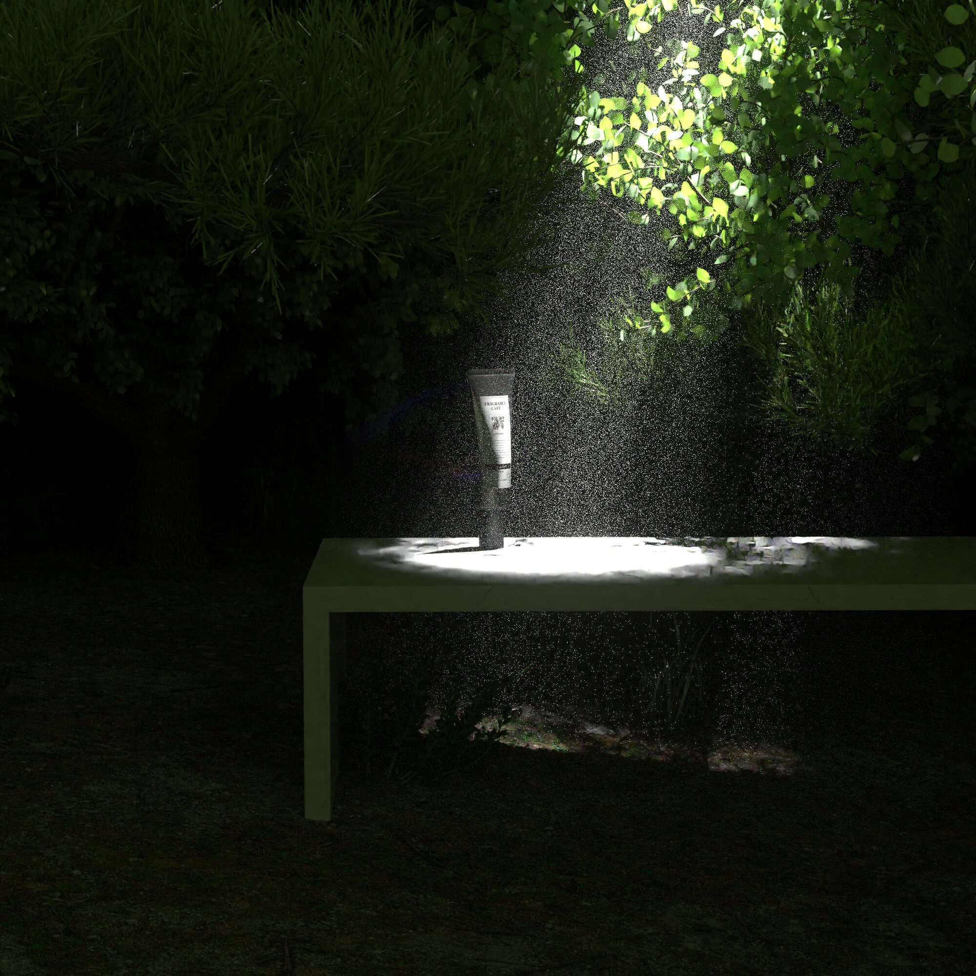 【 BLESSED RAIN | WOOD 】